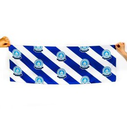 Polyester Satin Scarf
